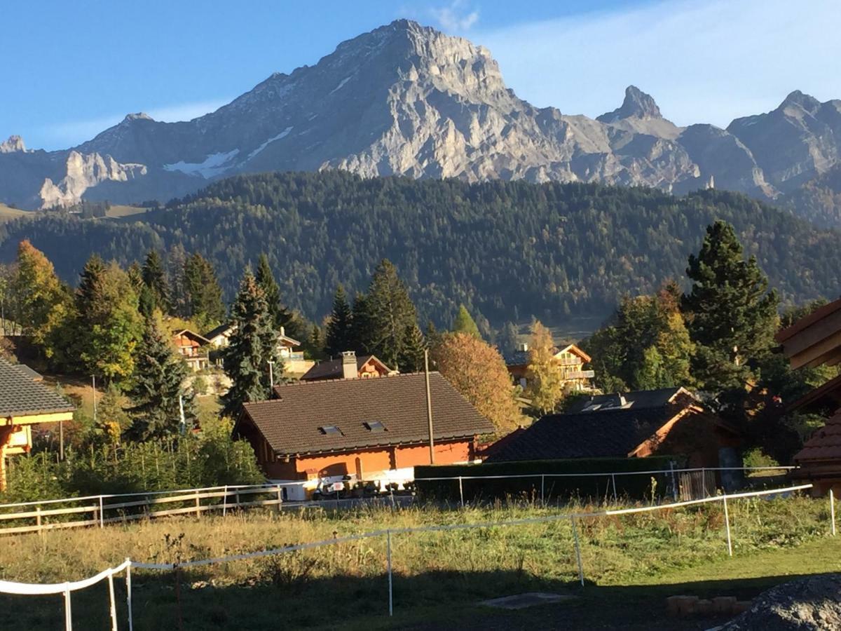 Chalet Le Slalom Arveyes Εξωτερικό φωτογραφία