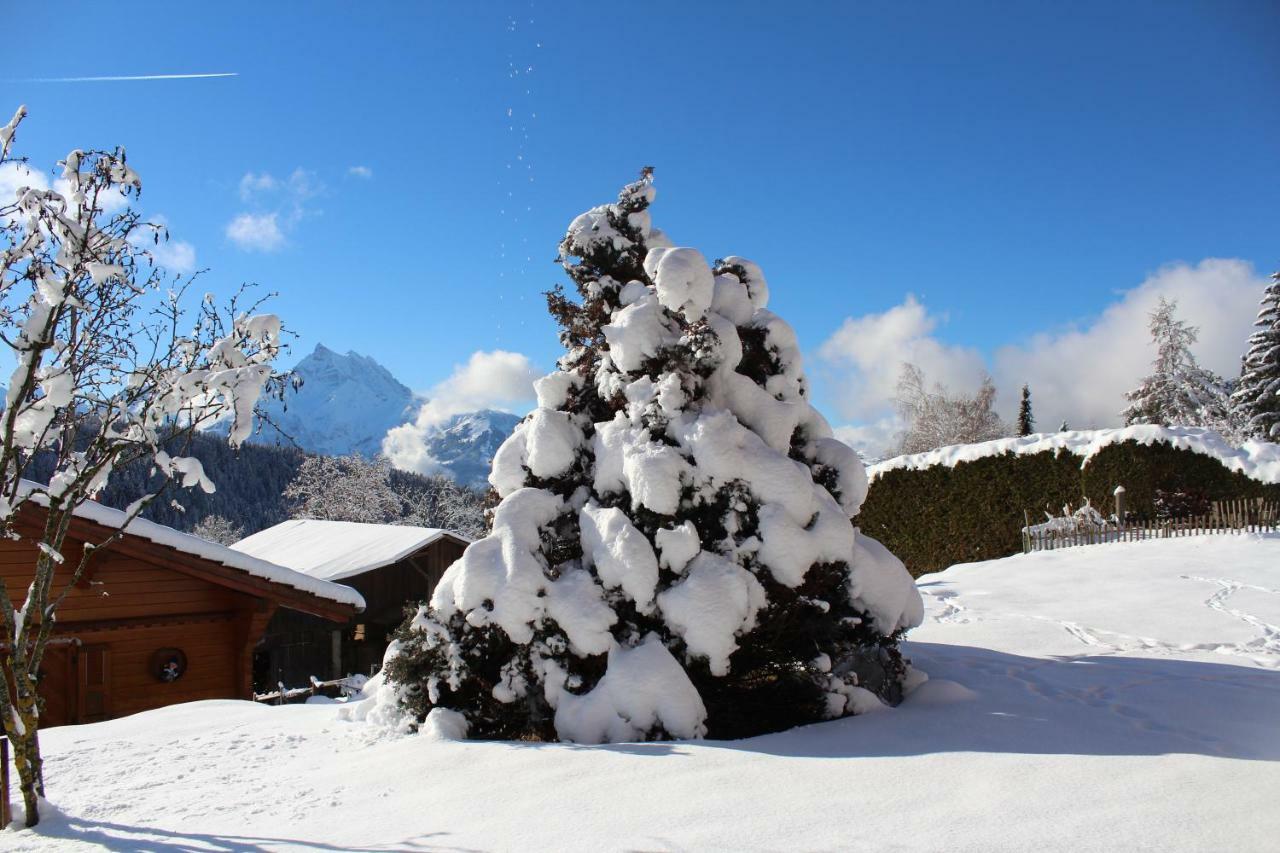 Chalet Le Slalom Arveyes Εξωτερικό φωτογραφία