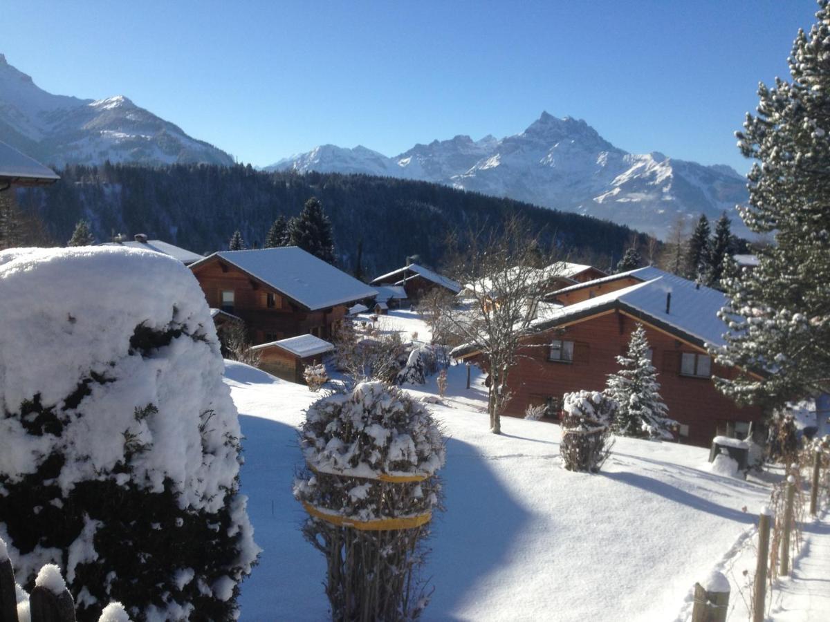 Chalet Le Slalom Arveyes Εξωτερικό φωτογραφία