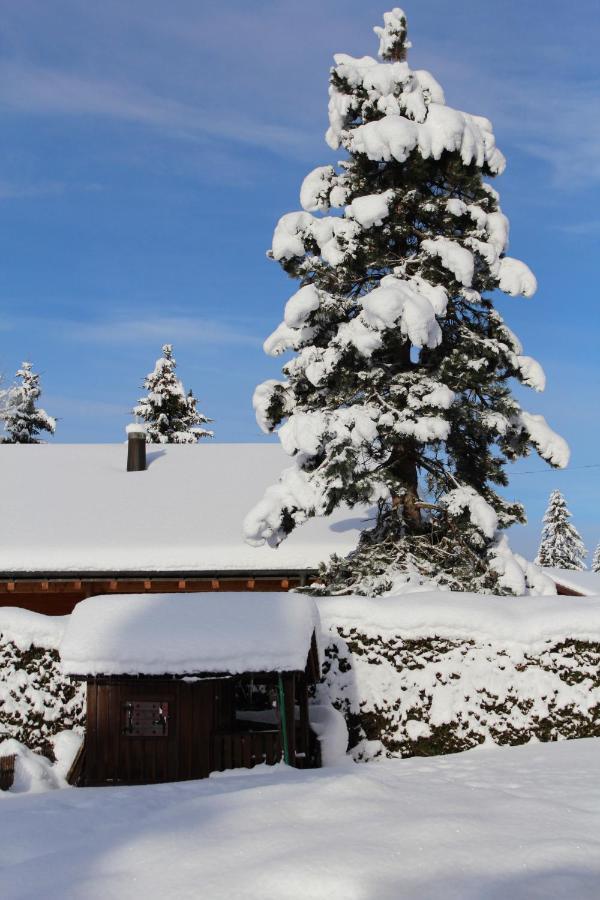 Chalet Le Slalom Arveyes Εξωτερικό φωτογραφία